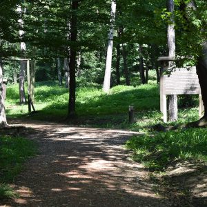 DSC_0424-min